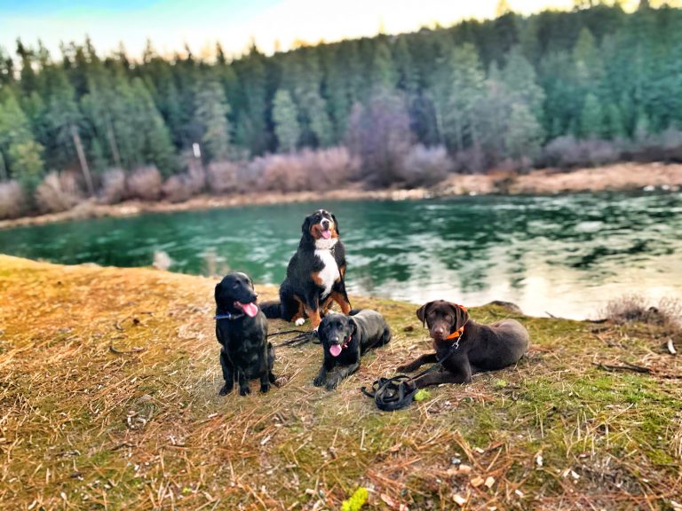 Talking a Walk in Riverside State Park in Spokane, Washington.